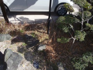 オープンハウス　掃除前の庭