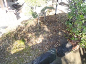 オープンハウス　雑草抜き